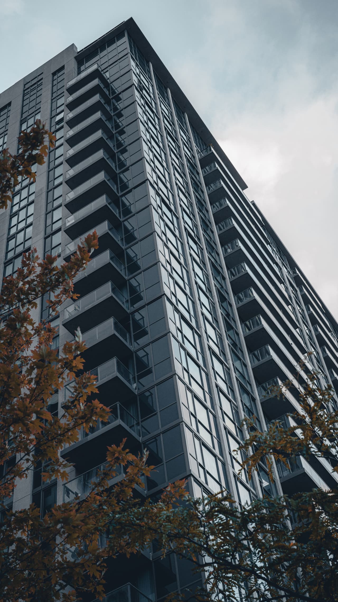 Visionary Real Estate Solutions